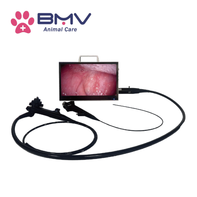 AniViz™ BVI-16 Portable Veterinary Endoscopy System For Large & Small Animals Solutions