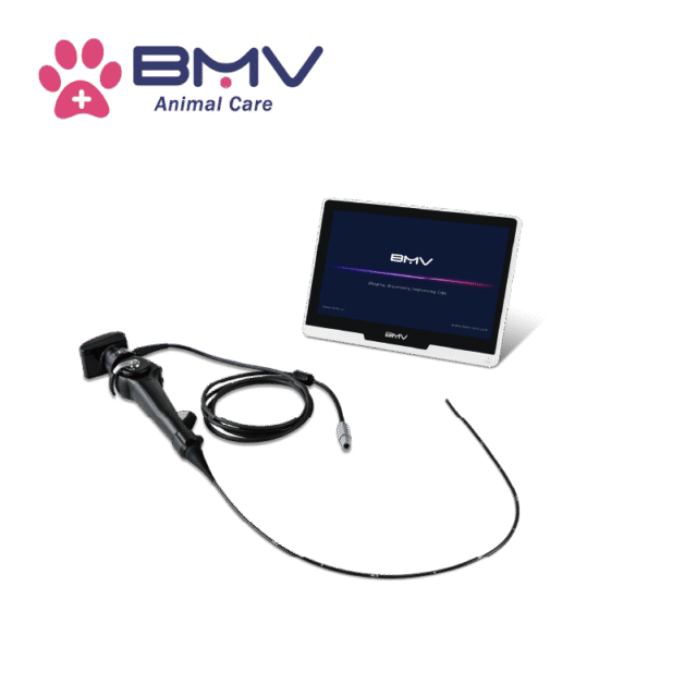 AniViz™ BVI-11 Portable USB Veterinary Endoscope System For Large & Small Animals(Gastroscope&Bronschoscope)