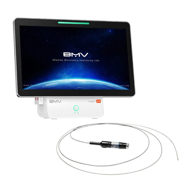 BUM-G20-29R Radial Miniature Probe(Gastroenterology)